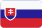 Чешские бусы Slovensky